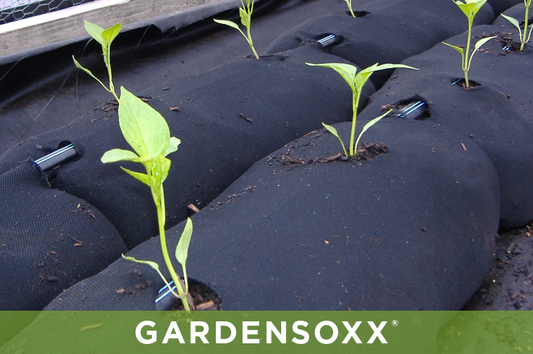 GardenSoxx® Kit 4x8